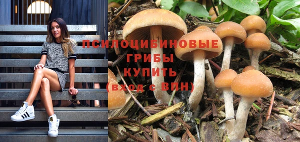 jwh Алзамай