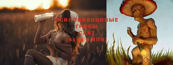 крисы Зеленодольск