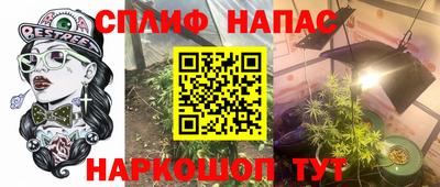a pvp Новодвинск