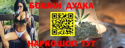 a pvp Новодвинск