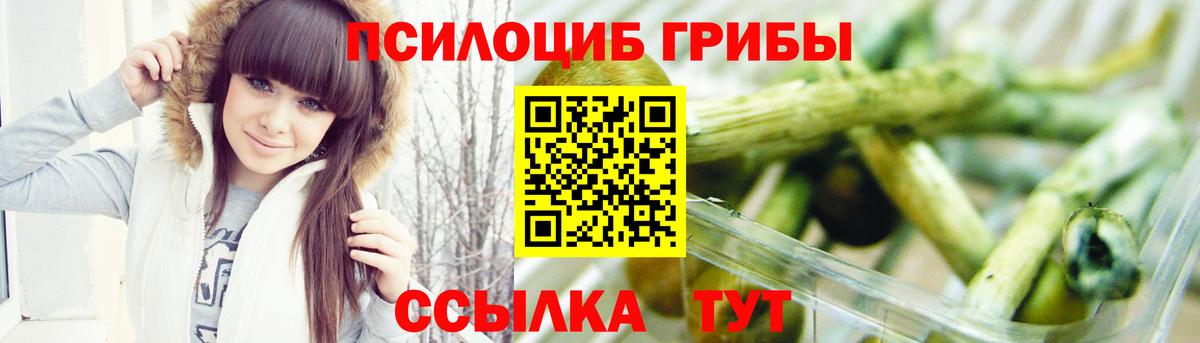 Галлюциногенные грибы Psilocybe  Псилоцибиновые грибы Magic Shrooms  Чебоксары  где купить   Вход с VPN 