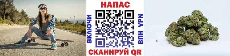 Конопля планчик  Чебоксары 